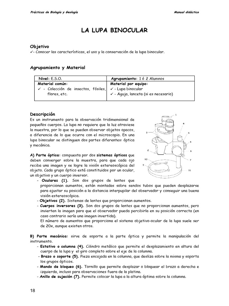 Partes y funciones de la lupa binocular | PDF | Lente de la cámara | Óptica
