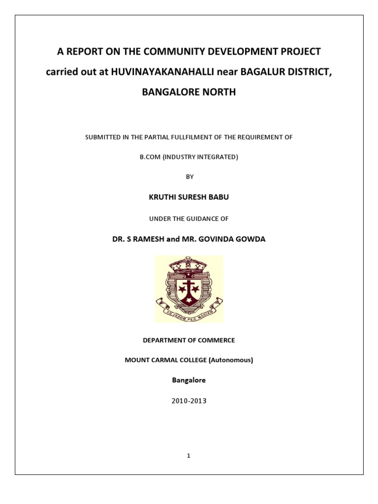 Community Development Project Report | Community Development | Survey ...