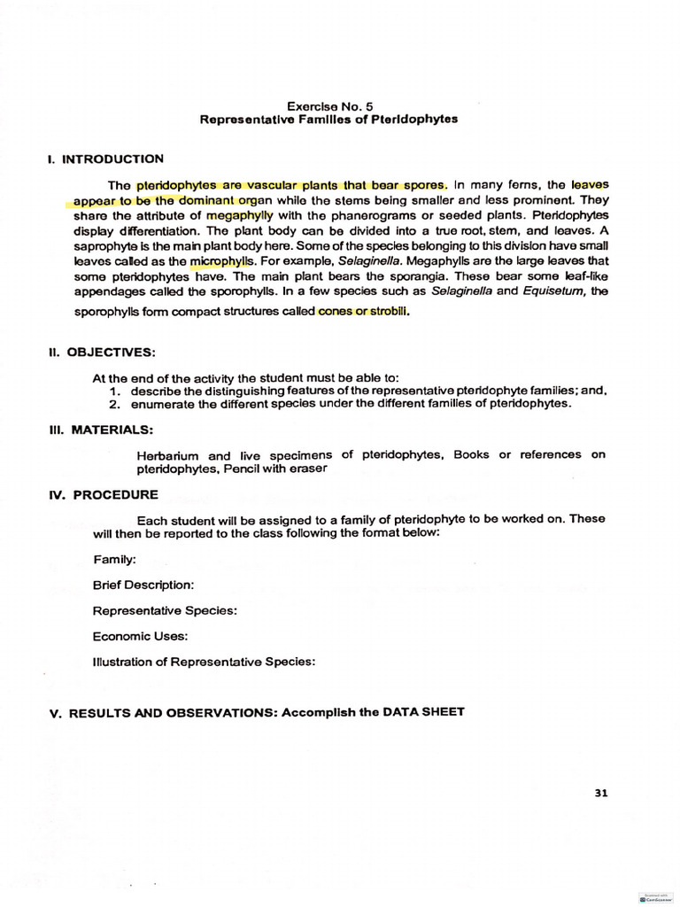 Plus Two Maths Exercise 5.10 Quiz