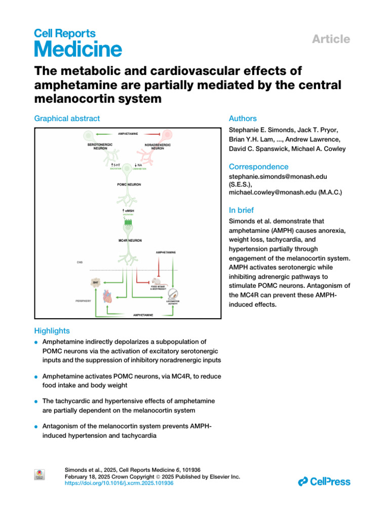 The Metabolic and Cardiovascular Effects of Amphetamine Are Partially ...
