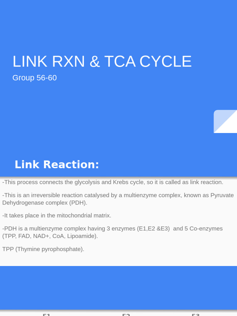 General Presentation | PDF | Citric Acid Cycle | Chemistry