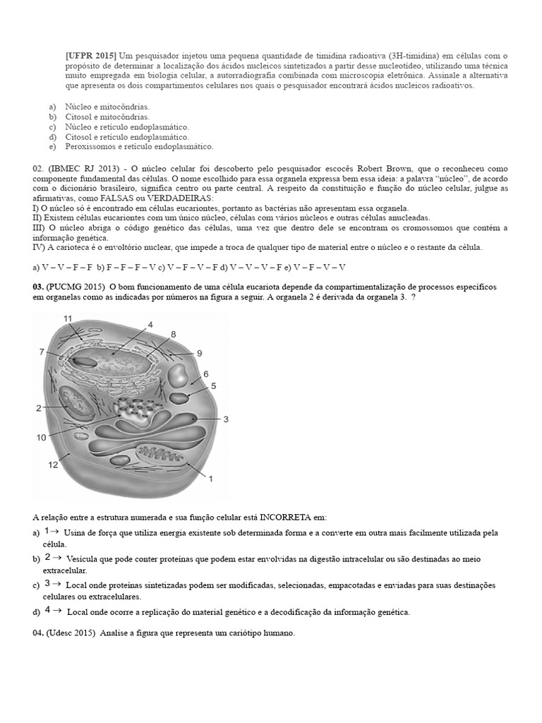 Exercícios sobre Núcleo Celular 9º Ano | PDF | Célula (Biologia ...