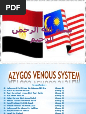 Azygos Venos System 2 Vein Thorax
