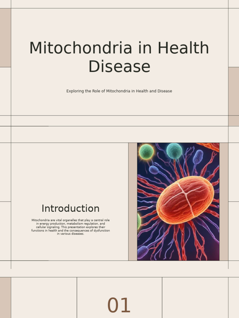 Mitochondria Form Function And Disease photo