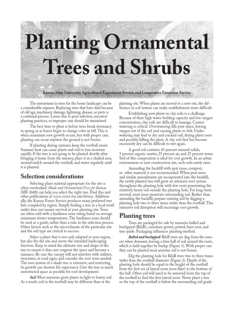 Essential Tree Planting Guide for Homeowners | PDF | Mulch | Trees