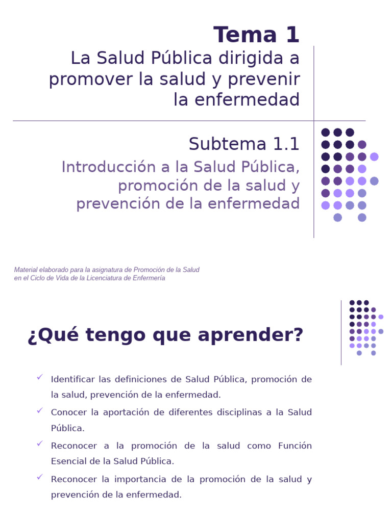 Salud Publica | PDF | Salud pública | Promoción de la salud