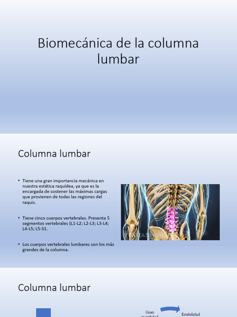 Biomecánica y anatomía de la columna lumbar | PDF | La columna ...