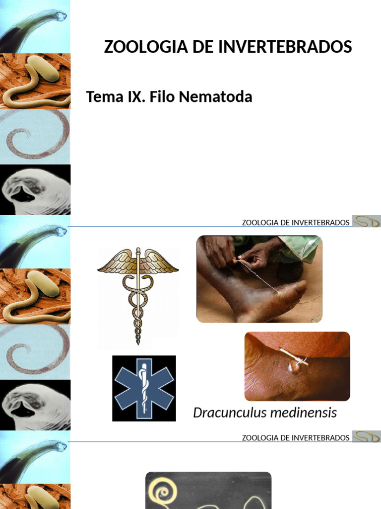 Forbicine Per Unghie Mani E Piedi Made In Italy | Online Shop - Foto 3