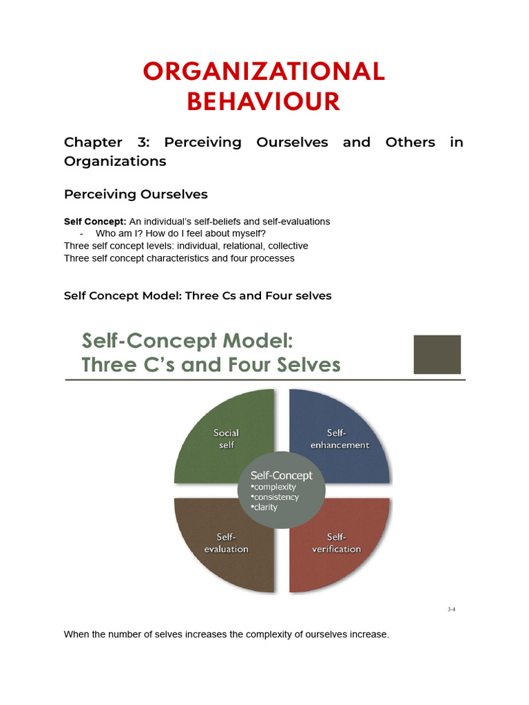 Chapter 3 - Perceiving Ourselves and Others in Organizations | PDF ...