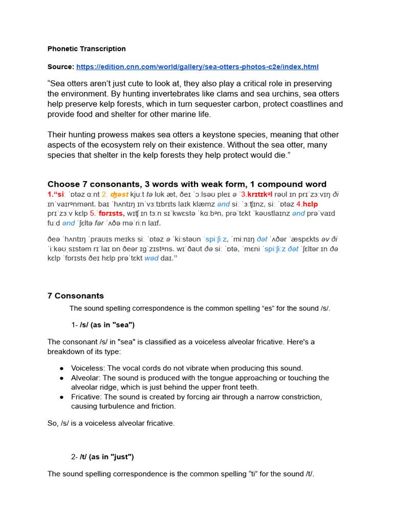 Presentation About Transcriptions Pdf Phonetics Human Voice