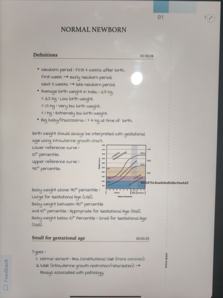 Adobe Scan 28 Nov 2024 | PDF