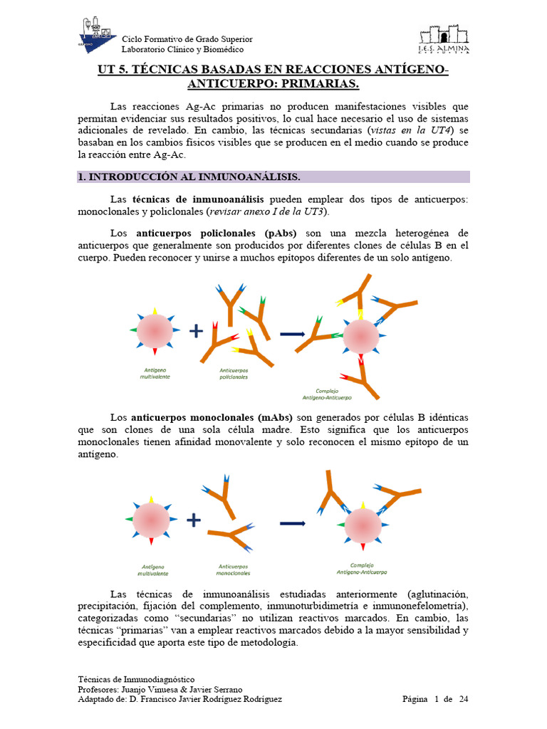 Técnicas de Inmunodiagnóstico en Laboratorio | PDF | Elisa | Inmunoensayo