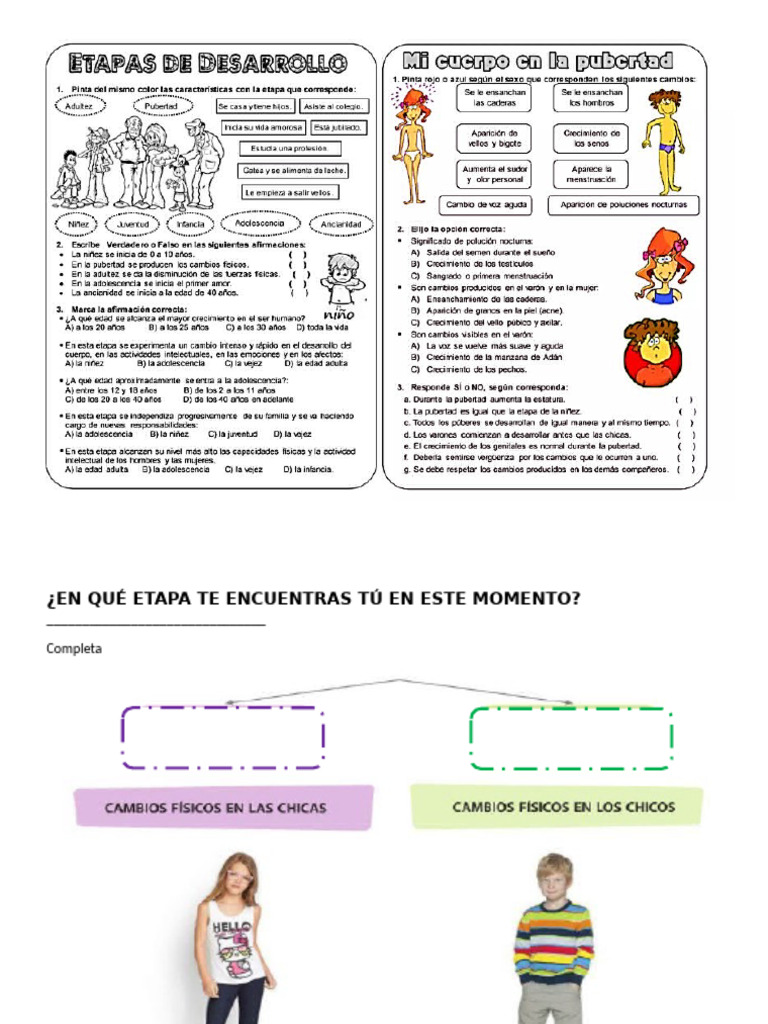 Etapas de Cambio en Violencia Familiar | PDF