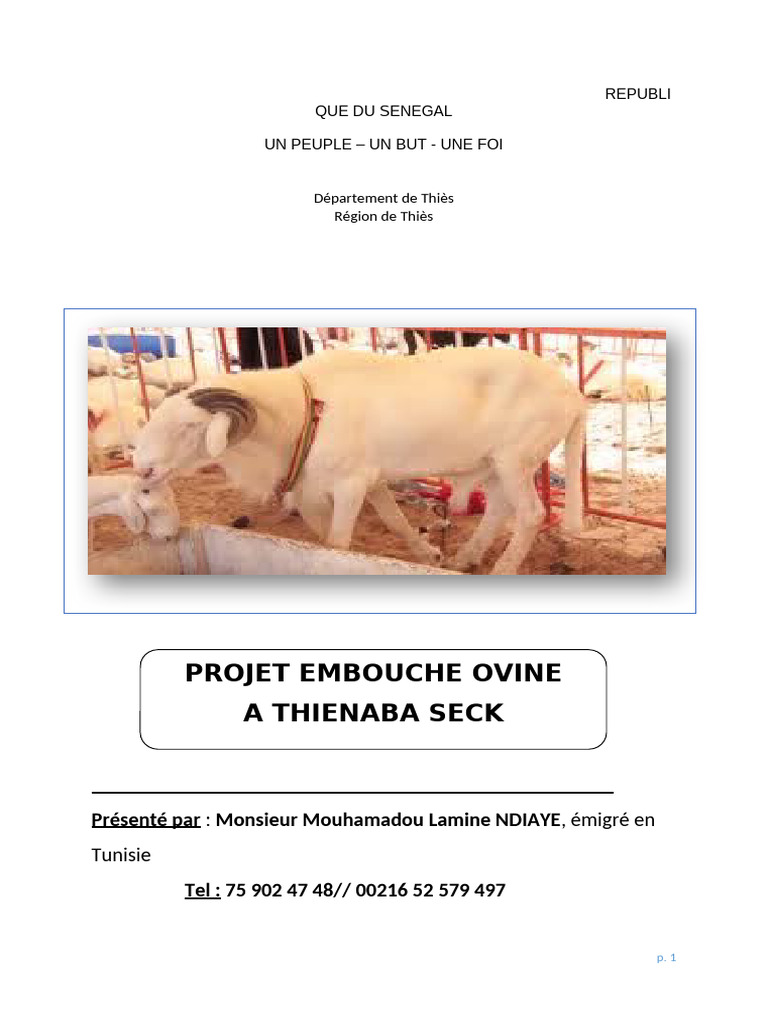 Projet d'embouche ovine à Thiénaba Seck | PDF | Alimentation animale