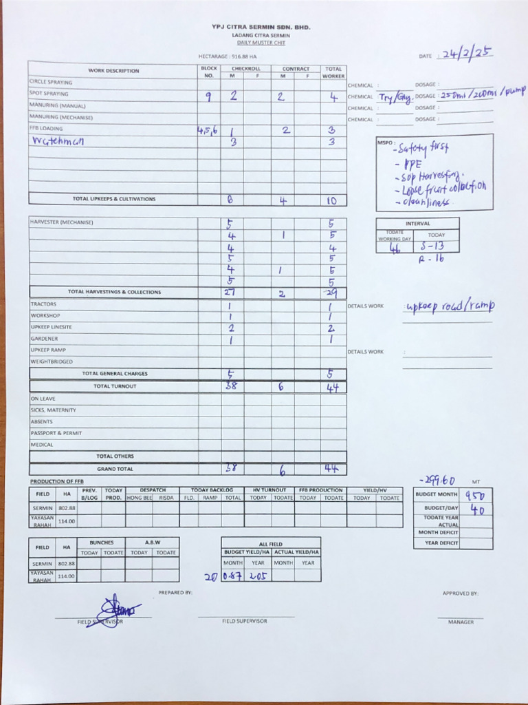 24FEB25 Musterchit Draft | PDF