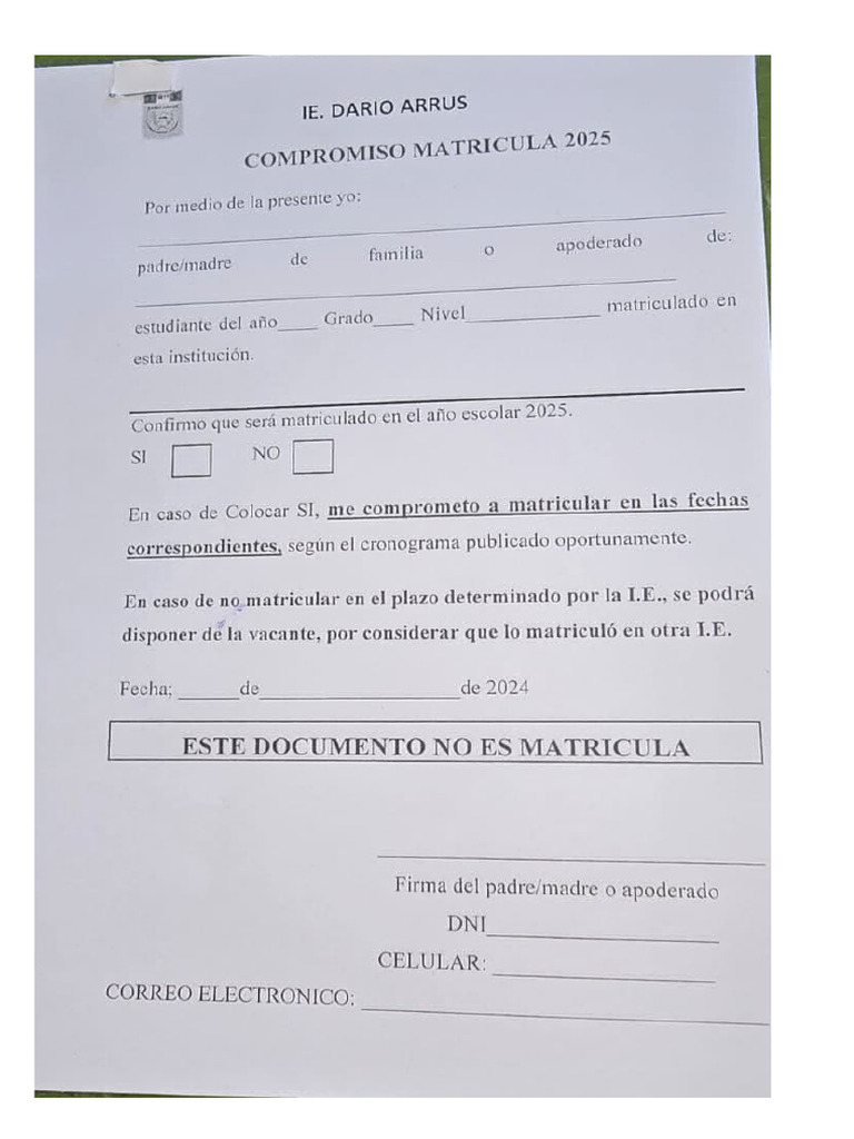 Dario Arruz | PDF