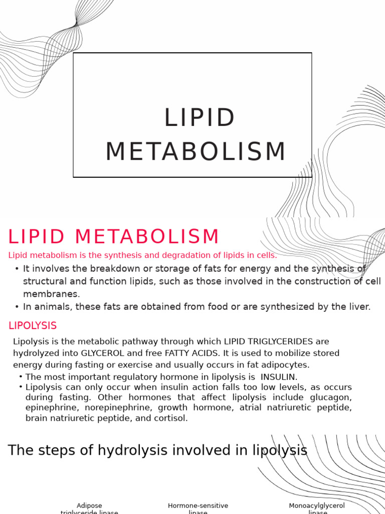 Lipid Metabolism Overview and Diagram | PDF | Lipid | Atherosclerosis