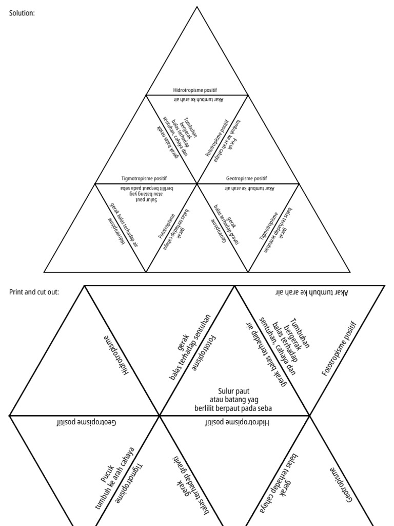 Tarsia Pdf