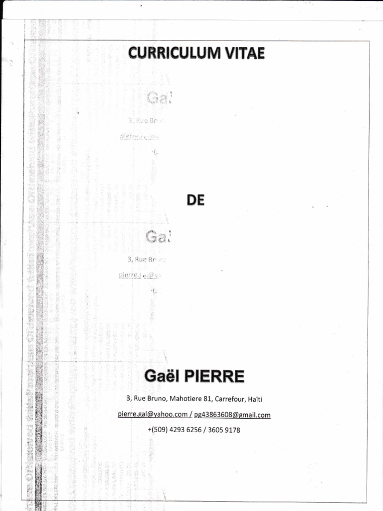 CV en kurde pour emploi en Haïti | PDF