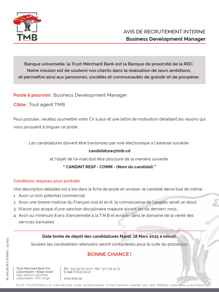 Recrutement TMB : Business Development Manager | PDF | Investisseur ...
