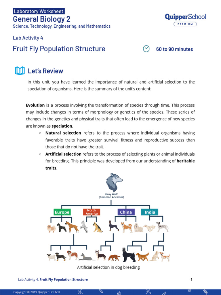 Bio2 11 - 12 Q3 04 LW Ak FD | PDF | Natural Selection | Genetics