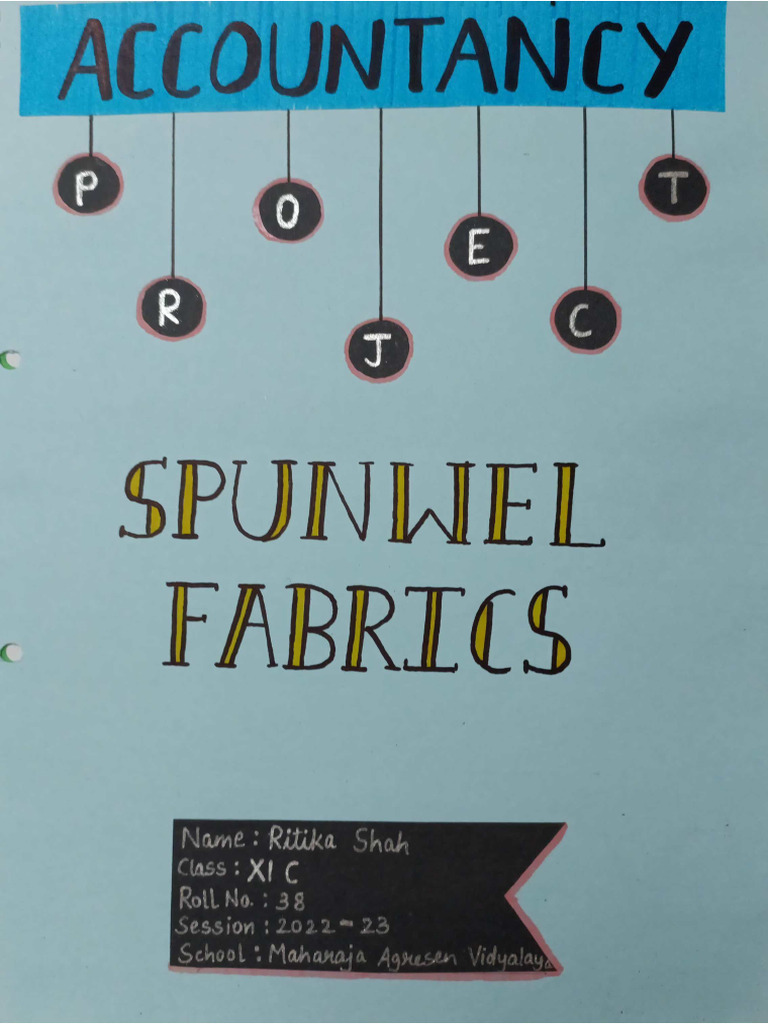 Accounts Project Class 11 Pdf