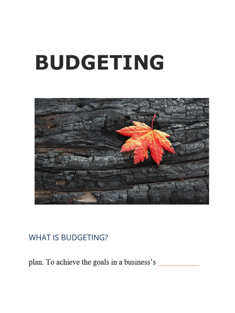 Essential Budgeting Strategies Explained | PDF | Budget | Expense