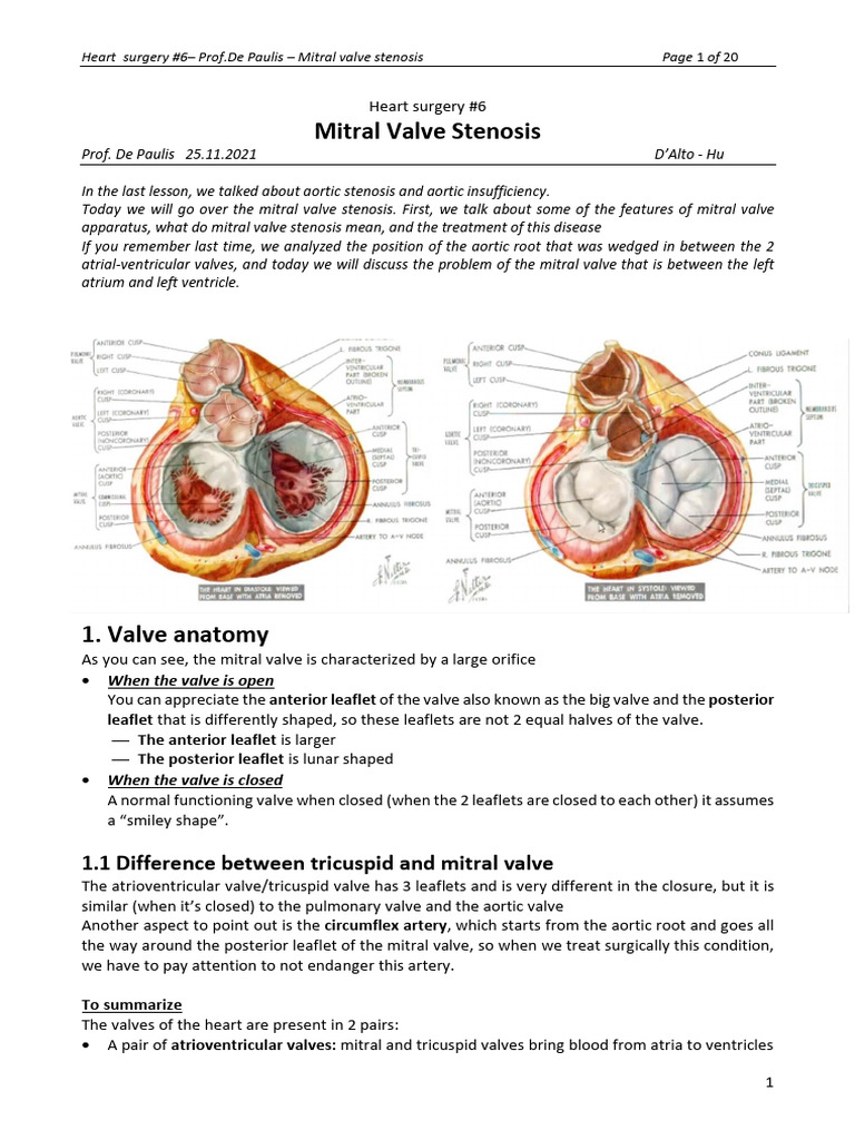 Heart Surgery 25.11.2021 | PDF | Heart Valve | Coronary Circulation