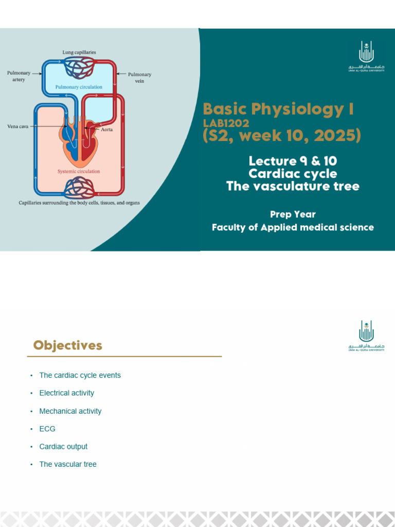 Lecture 9&10 Basic Physiology 1 (2025) Week9 | PDF | Diastole ...
