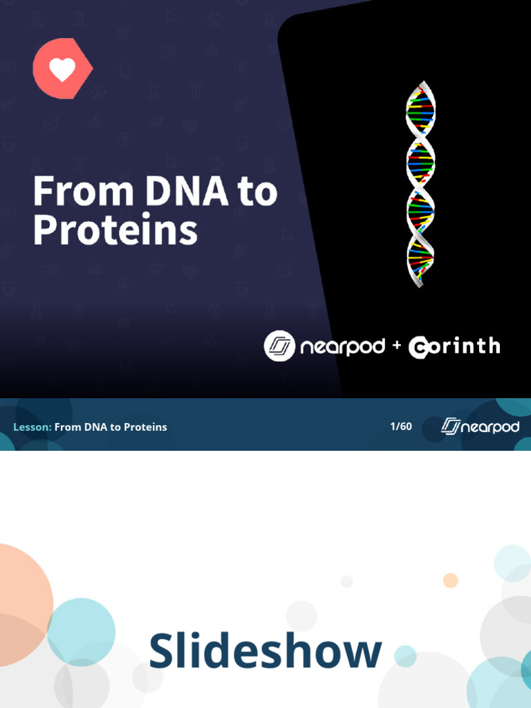 From DNA to Proteins | PDF | Translation (Biology) | Dna
