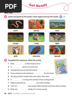 Oxford Discover 2 Unit 2 | PDF