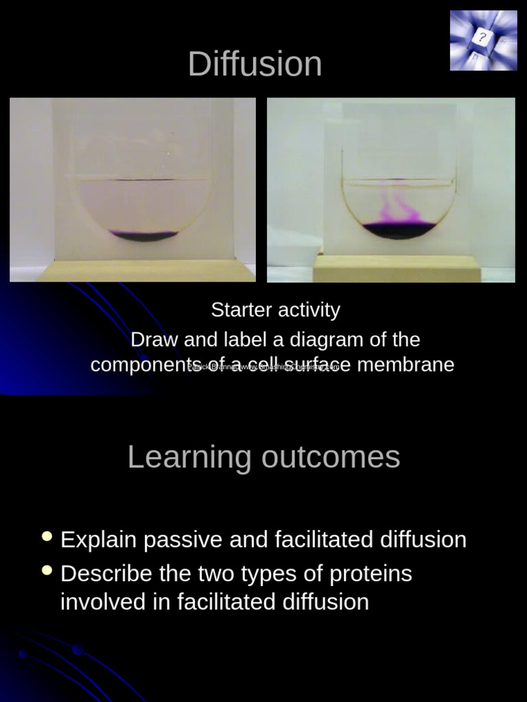 Understanding Cell Membrane Diffusion | PDF