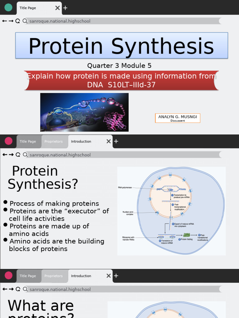 Lecture 5 QTR 3 - Protein Synthesis | PDF | Rna | Nucleotides
