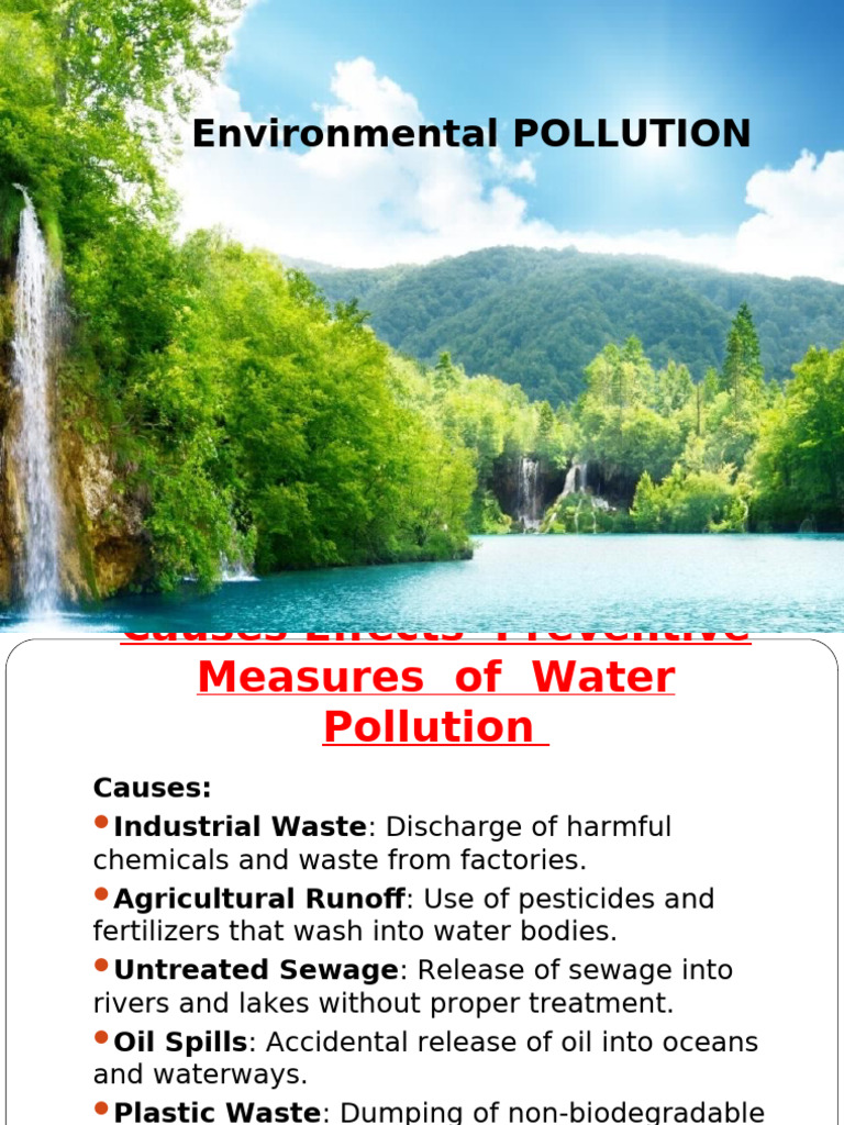 Causes and Solutions for Pollution | PDF | Waste | Noise