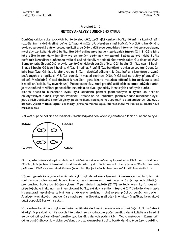 Protokol Bio 10 | PDF