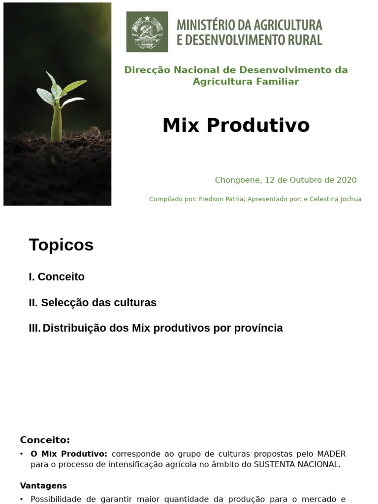 Celestina IIAM Gaza MIx Produtivo | PDF | Agricultura | Mercado (economia)