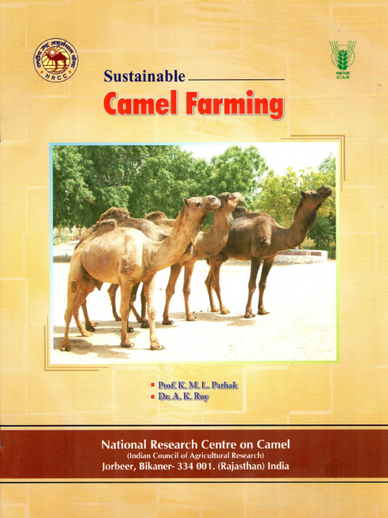 Camel Farming | PDF