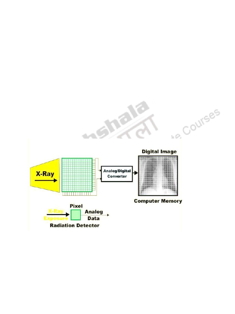 Digital Radiography: Principles & Types | PDF | Computer Data Storage ...