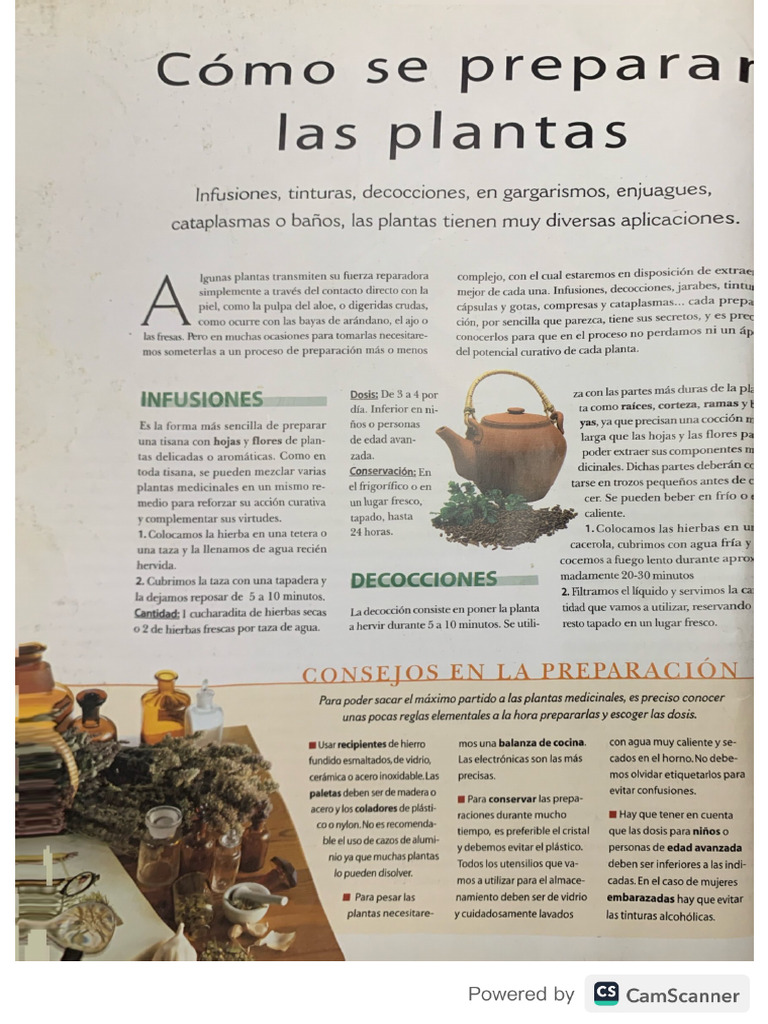 Como Se Preparan La Plantas | PDF