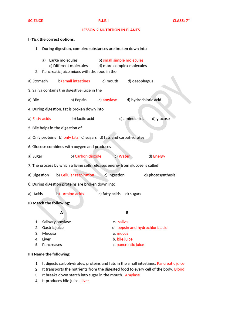 Science 7th Notes Ntrition in Animals | PDF | Digestion | Cellular ...