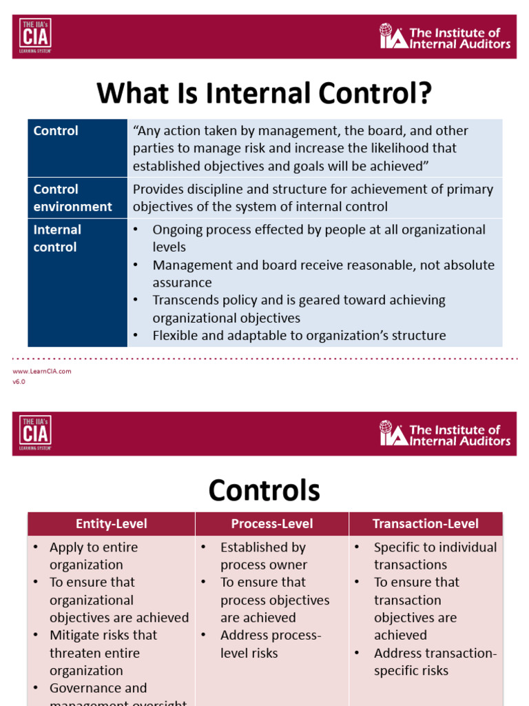 Understanding Internal Control Systems | PDF | Internal Control | Business