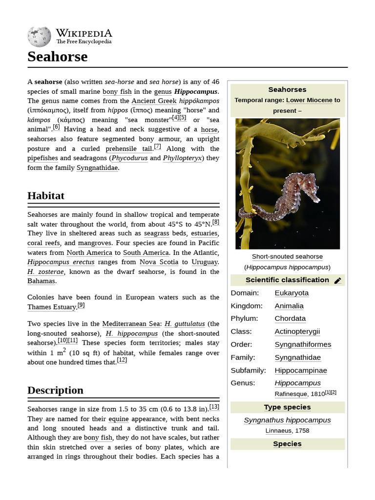 Seahorse Anatomy and Classification | PDF | Zoology