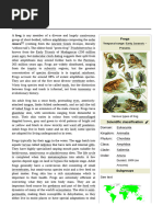 Frog Classification and Taxonomy | PDF | Frog | Amphibian