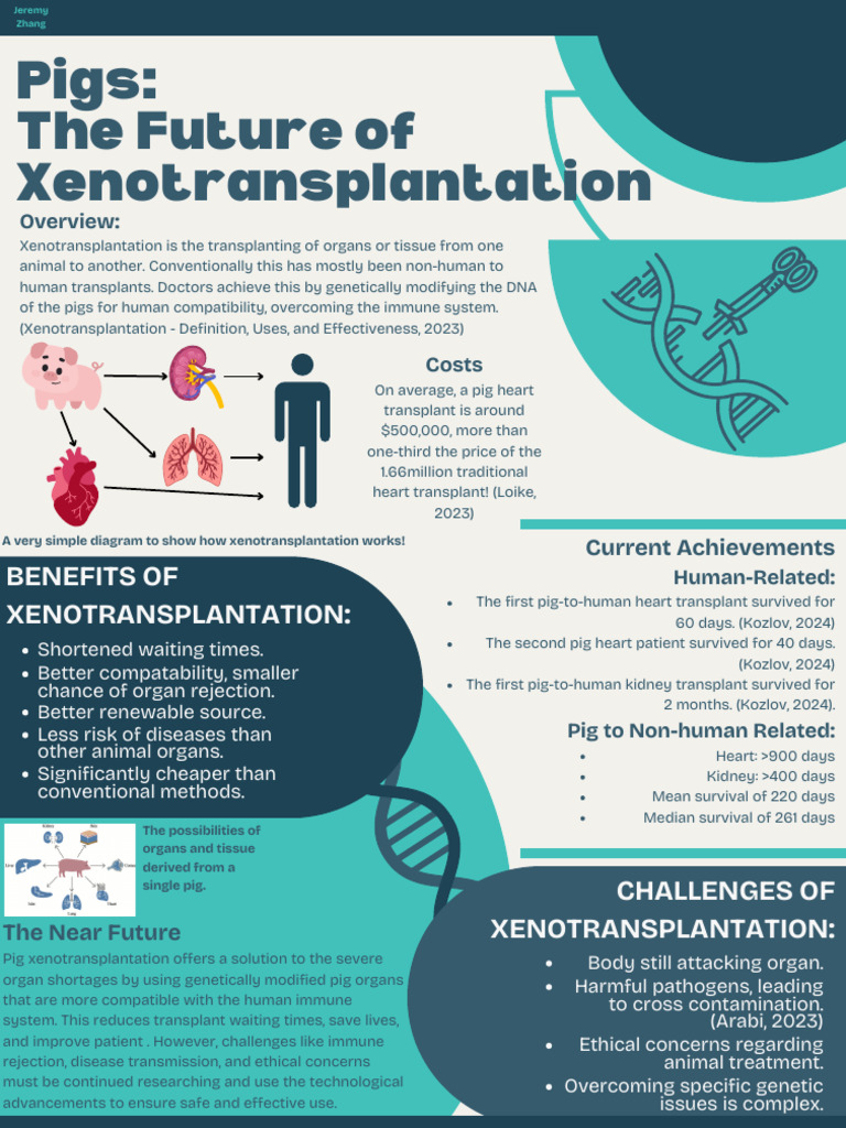 Pigs in Xenotransplantation: Future Insights | PDF | Organ ...