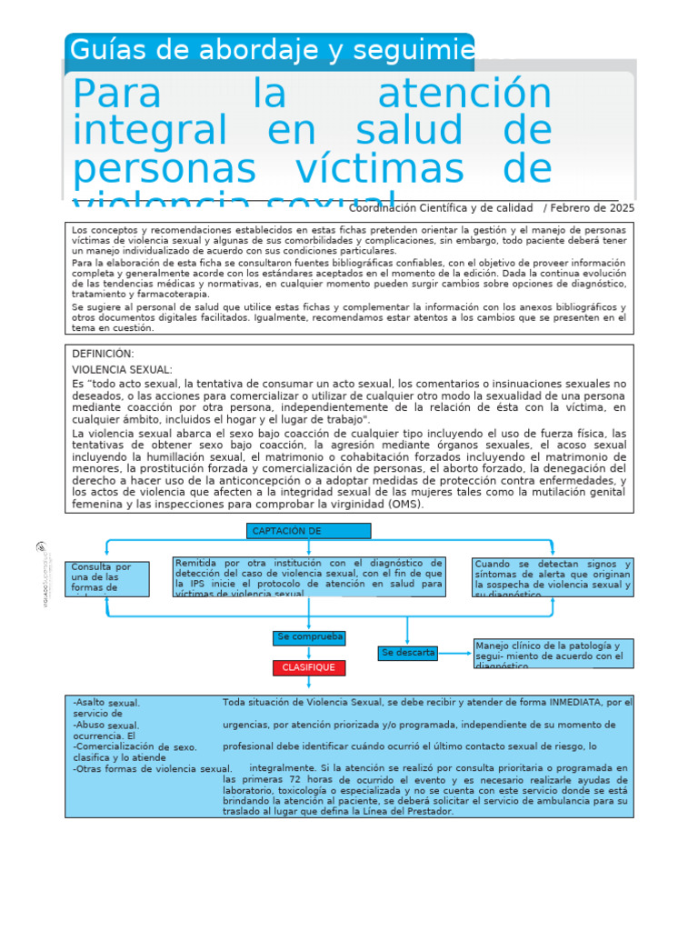 Protocolo de Atención a Víctimas de Violencia Sexual | PDF | VIH ...