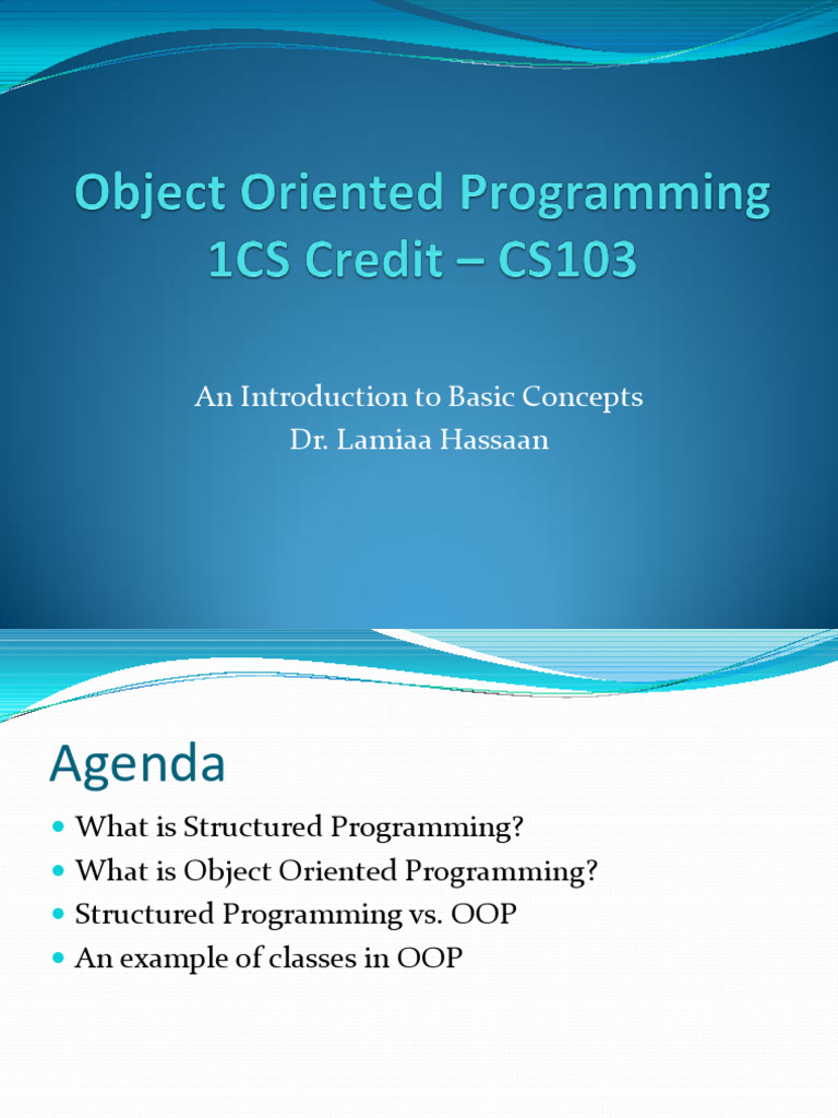 Intro to Structured and Object-Oriented Programming | PDF | Object ...