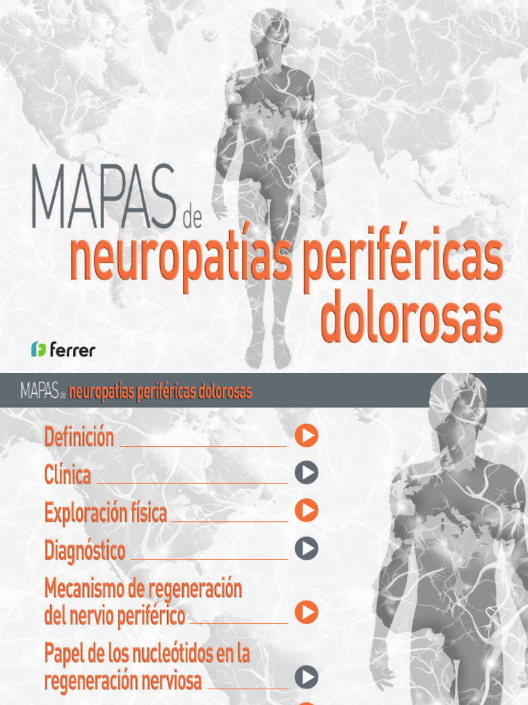 2025-C1-Nub-Mapas NP | PDF | Axon | Mielina