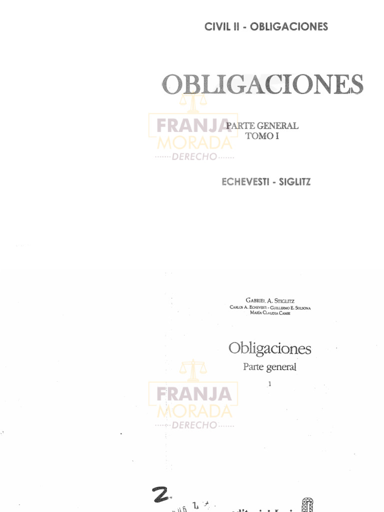 Pluralidad de Obligaciones en Derecho Civil | PDF | Justicia | Crimen y ...