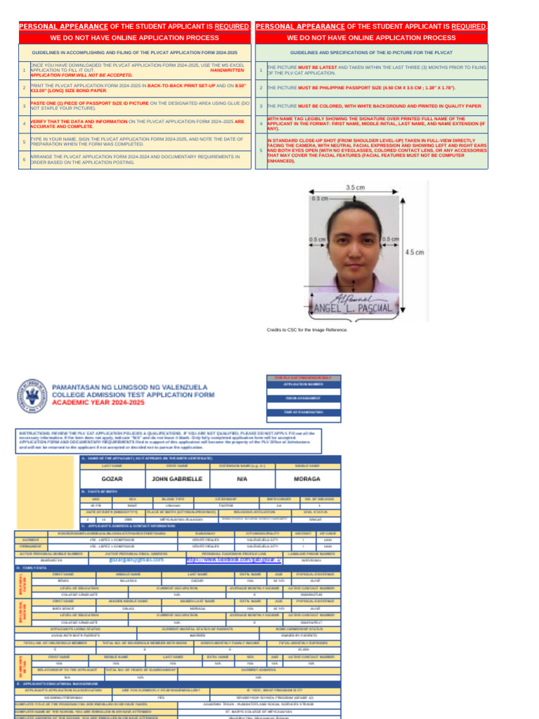 PLV CAT Application Guidelines 2024-2025 | PDF | Bachelor Of Science