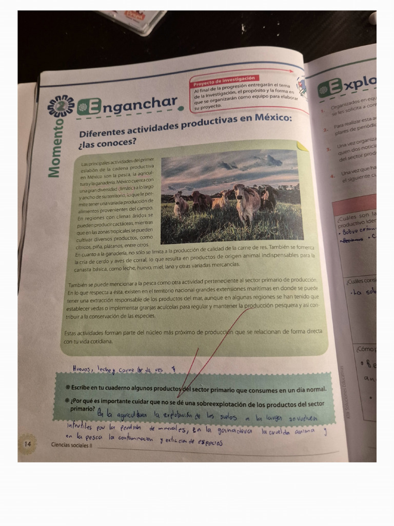 Pag 15 y 16 | PDF